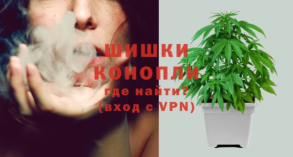 apvp Арсеньев