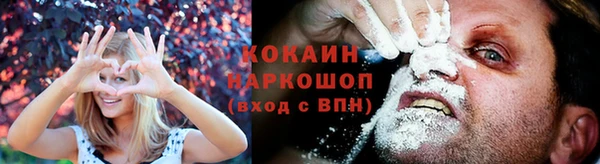 apvp Арсеньев