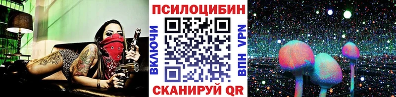 Галлюциногенные грибы Psilocybe  Няндома 